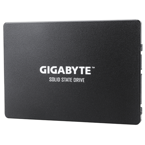 Gigabyte GP-GSTFS31100TNTD drives allo stato solido 2.5" 1000 GB Serial ATA