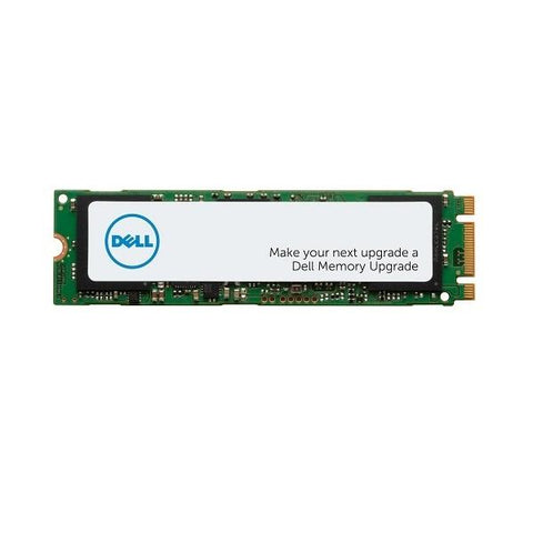 DELL AA615519 drives allo stato solido 256 GB M.2 PCI Express NVMe (M.2 PCIe NVME Class 40 2280 - Solid State Drive, 256GB - Warranty: 12M)