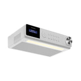 Grundig DKR 1000 BT radio Worksite Digitale Bianco