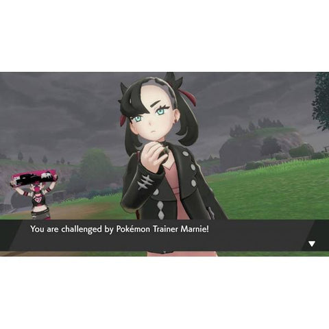 Nintendo Pokemon Sword Standard Nintendo Switch (Pokemon Sword Nintendo Switch)