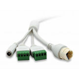 LevelOne FCS-3402 telecámara de vigilancia Telecámara de seguridad IP interior y exterior cúpula 1920 x 1080 píxeles sofito/muro 