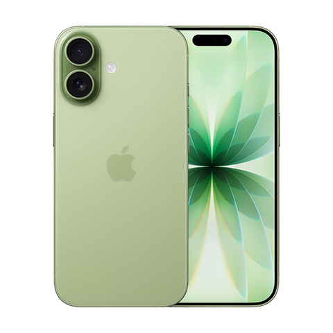 Apple iPhone 17 16,0 cm (6,3") Super Retina XDR - Dual-SIM - A19 - 8 GB RAM - 256 GB - Sage - EU (MG6N4F/A)
