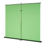 Celexon 1000010980 schermo da sfondo Verde