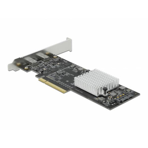 DeLOCK 89009 scheda di interfaccia e adattatore Interno USB 3.2 Gen 2 (3.1 Gen 2)
