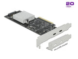 DeLOCK 89009 scheda di interfaccia e adattatore Interno USB 3.2 Gen 2 (3.1 Gen 2)
