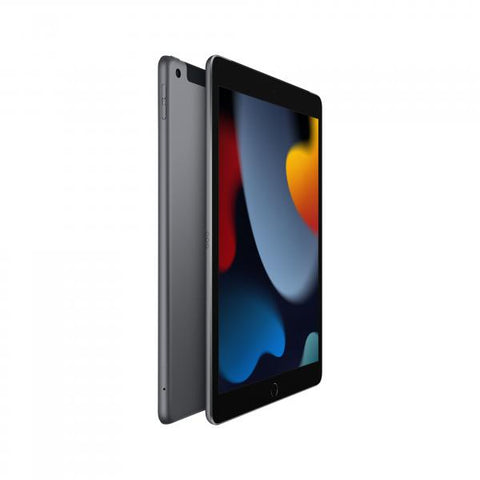 Apple iPad 4G LTE 256 GB 25,9 cm (10.2") Wi-Fi 5 (802.11ac) iPadOS 15 Grigio