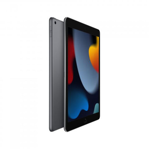 Apple iPad 256 GB 25,9 cm [10.2] Wi-Fi 5 [802.11ac] iPadOS 15 Grigio (APPLE IPAD WI-FI 9th GEN 256GB 10.2'',SPACE GREY)