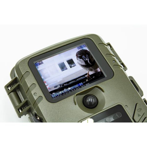 Technaxx TX-165 Esterno Scatola 1920 x 1080 Pixel Parete