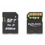 DeLOCK 54091 memoria flash 256 GB SD