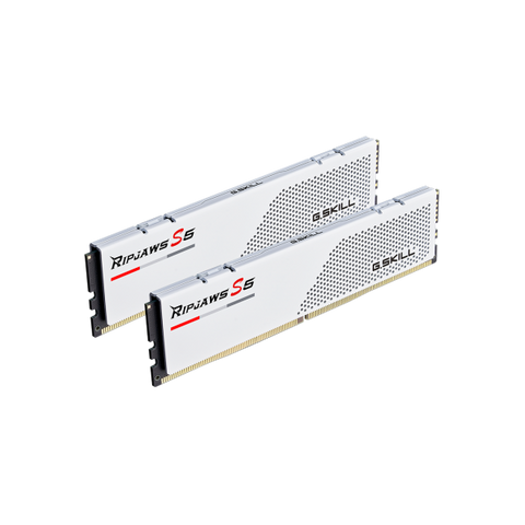 G.Skill Ripjaws S5 / F5-6000J3040F16GX2-RS5W memoria 32 GB 2 x 16 GB DDR5