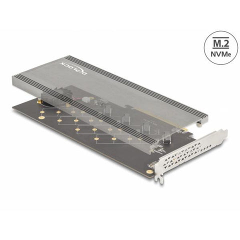 DeLOCK 90079 scheda di interfaccia e adattatore Interno M.2