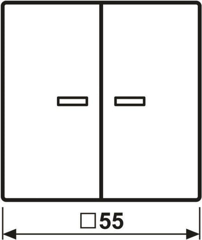 Jung HOME Taster 2fach BTA17102SWM 1 (BTA17102SWM)