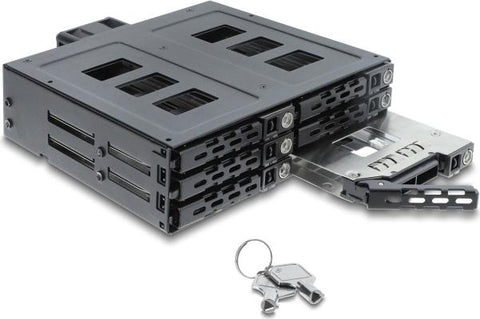 Delock 5.25? Wechselrahmen fr 6 x 2.5? SATA oder SAS HDD / SSD mit Schloss (47142)