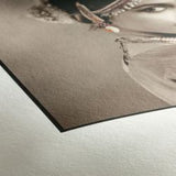 Hahnemhle Photo Rag Bianco (PHOTO RAG-44IN 20M 308GSM)