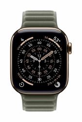 Apple Cinturino a maglie magnetico grigio salvia [42 mm] - S/M (*42MM SAGE GRAY MAGNETIC LINK - S/M)